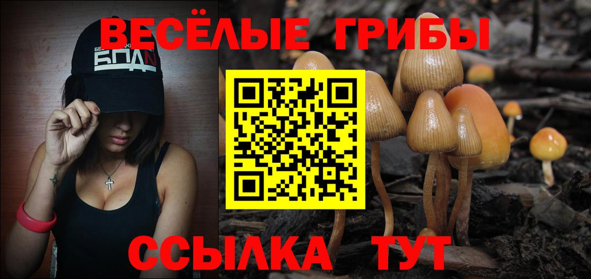 Псилоцибиновые грибы Psilocybe  Псилоцибиновые грибы мицелий  Вход с VPN  Холмск 